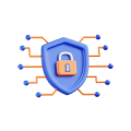 Cybersecurity Risks
